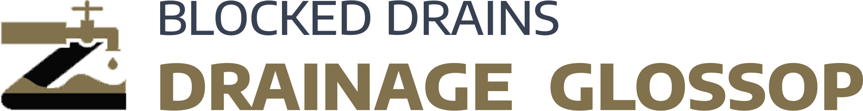 website logo
